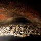 Illustration for article titled The Secret Underground World Of New York City